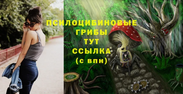 сатива Белоозёрский
