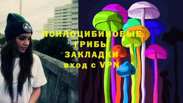 соль ск Белокуриха