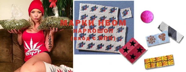 гидра Тавда