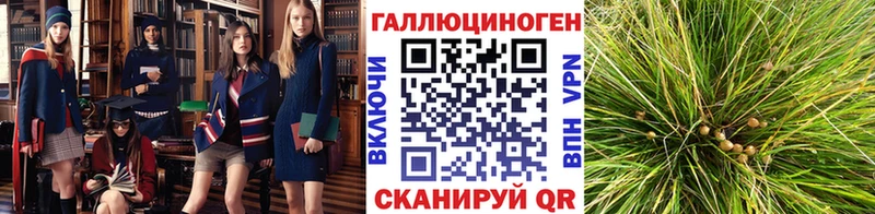 купить   это состав  Псилоцибиновые грибы Psilocybine cubensis  Змеиногорск 
