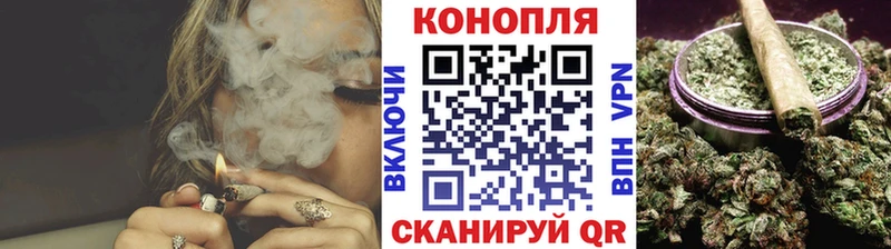 Конопля план  Змеиногорск 